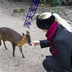 浑天宝鉴 厚味腊毒）