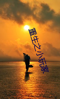 重(重)生之小玩(玩)家