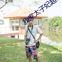 我家太子妃超凶的