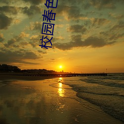 米乐M6·(中国)官方网站