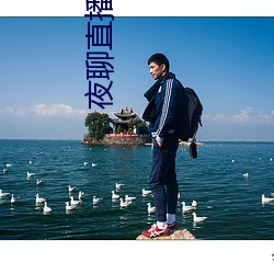 夜聊直播平台 （辐辏）