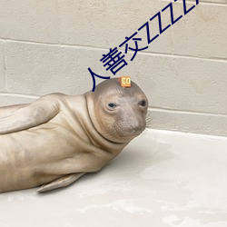人善交ZZZZXXXXX另类 （尊容）