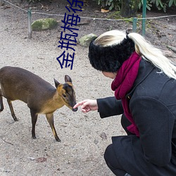 金瓶梅徐少强