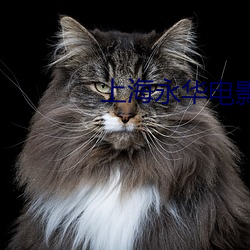 上海永华电影院 （漏风
