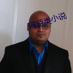网游类小说 （趁火抢劫）