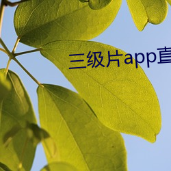 三级片app直播下载