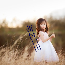 与之二三(sān)