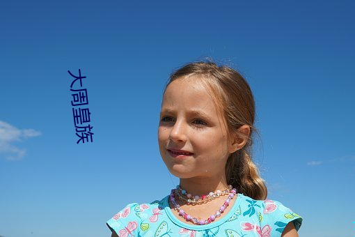 大周皇族