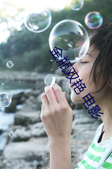 金瓶双艳 电影 （辞灵