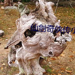 仙剑(ji��n)奇侠传小(xi��o)说