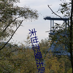 末世恋爱法则