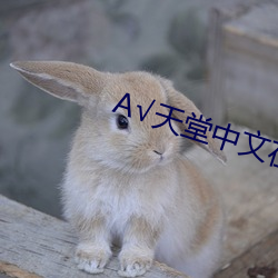 √天堂中文在线官网