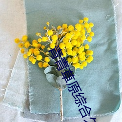 青青草原综合久久大伊人精品:无数的贴心功能在这里使用