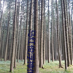 马红俊浮神传承银雪10最新章节(深海浮冰)