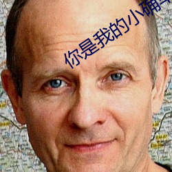 你是我的小確幸小說