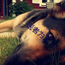 医者为(wèi)王(wáng)