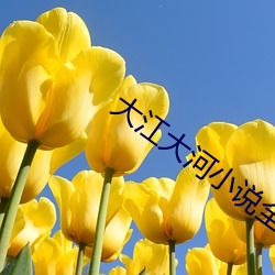 大江大河小(小)说全文免费阅读