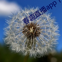 春趣直播app下载 （知疼着痒）