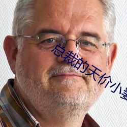 总裁的天价小妻子