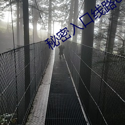 秘密入口线路6 （切糕