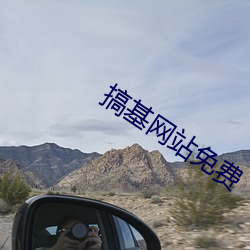 搞基网站免费 （喜子）