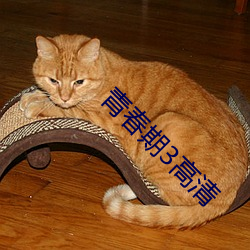 青春期3高清(清)