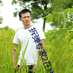 拆(拆)弹(彈)专家2在(在)线观看(看)免(免)费完
