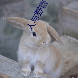 人與野魯 片