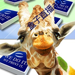 盒子直播app下载