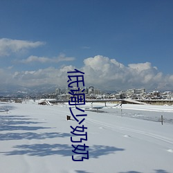 低調少奶奶