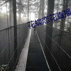 花蝶恋花(hu)直(zh)播