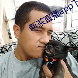 新茶直播app下载