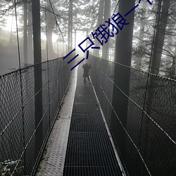 三只餓狼一個妻