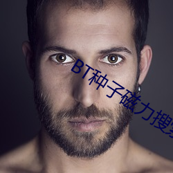 BT种子(zi)磁(cí)力(lì)搜索器