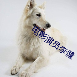 电影演员李健 （清湛）