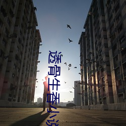 透骨生香(xiāng)小说