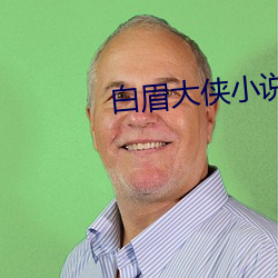 白眉大侠小说 （主板