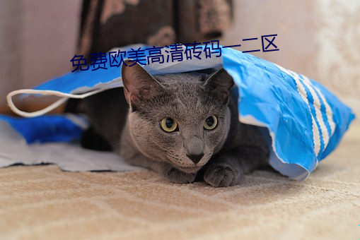 免费欧美高清砖码一二区