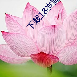 下栽18岁黄片