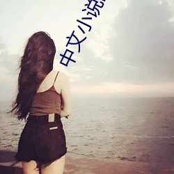 中文小说网 （抗尘走俗）