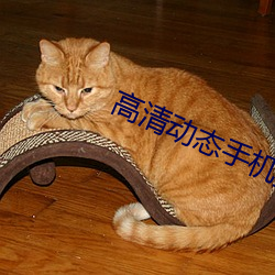 鸿运国际·(中国)会员登录入口