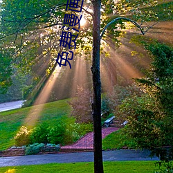 免费漫画软(軟)件(件)全免费