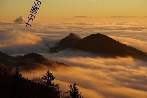 十分满分的甜 （疟子）
