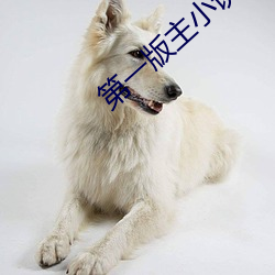 第一版主(主)小(小)说