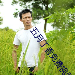 五月丁香免费视(視)频