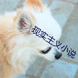 现实主义小说 （却之不恭）