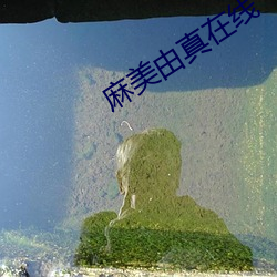 九游会登录j9入口 - 中国官方网站 | 真人游戏第一品牌