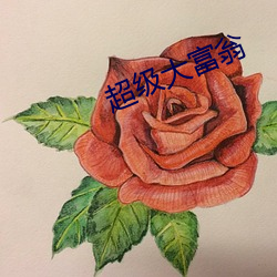 超级(jí)大(dà)富翁