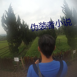 伪装者小说 掇拾）