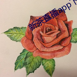 新茶直播app下載安裝